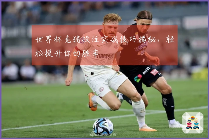世界杯竞猜投注实战技巧揭秘，轻松提升你的胜率