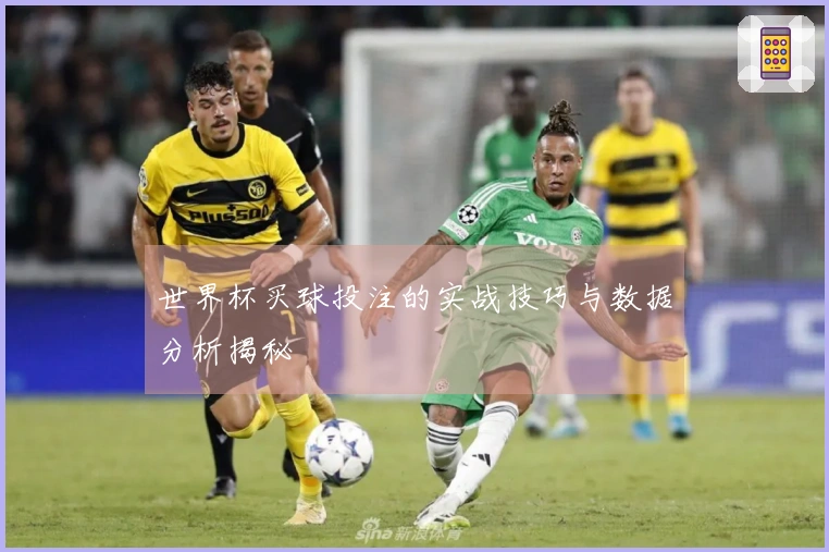 世界杯买球投注的实战技巧与数据分析揭秘