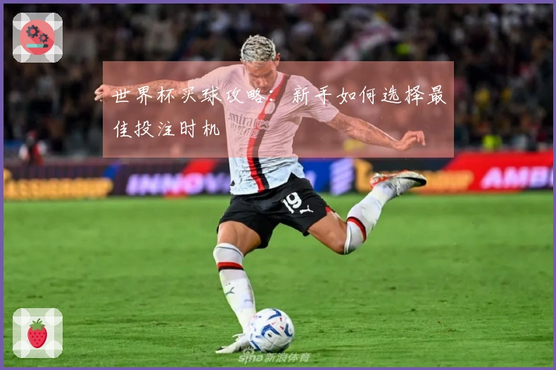 世界杯买球攻略：新手如何选择最佳投注时机