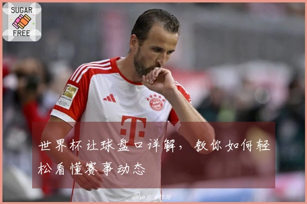 世界杯让球盘口详解，教你如何轻松看懂赛事动态