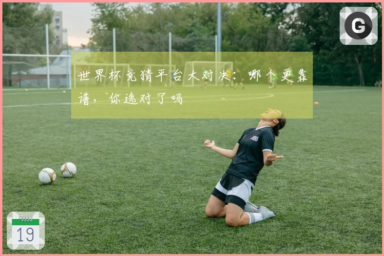 世界杯竞猜平台大对决：哪个更靠谱，你选对了吗